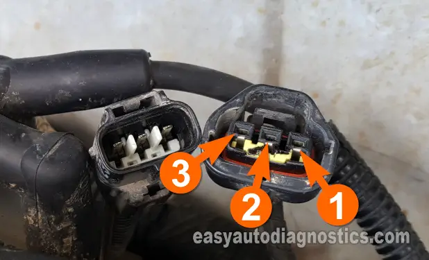Making Sure The Crank Sensor Has Power. How To Test The Crankshaft Position Sensor (1997, 1998, 1999, 2000, 2001, 2002, 2003 3.9L Dodge Dakota And 1998, 1999 3.9L Dodge Durango)