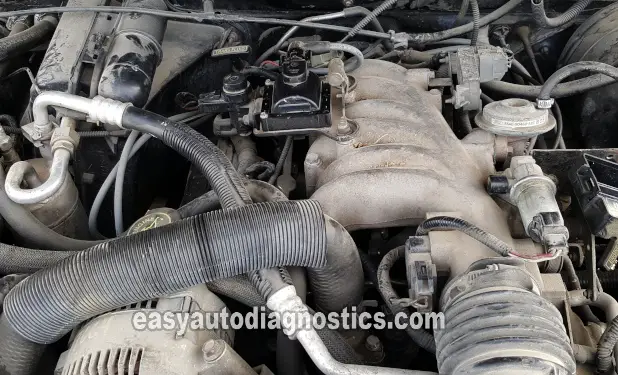 How To Test The Fuel Pump (1991-1994 3.0L V6 Ford Ranger)
