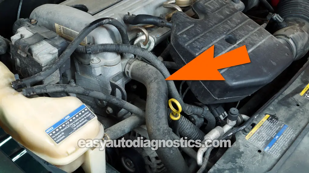 A Guide To Coolant Hoses: What They Are, What They Do, And When To Replace Them