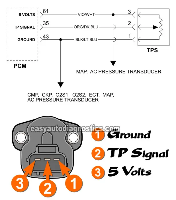Circuit Diagram Of The Throttle Position Sensor (TPS). How To Test The Throttle Position Sensor (1998, 1999, 2000 3.0L Dodge/Plymouth Mini-Van)