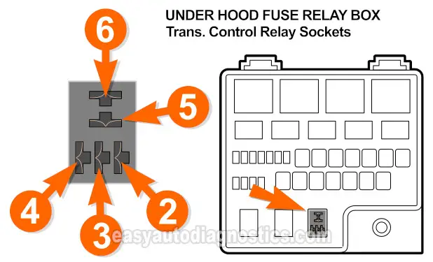 Pin Out Of The Transmission Control Relay Socket In The Under-Hood Fuse And Relay Box (2001, 2002, 2003, 2004 2.7L V6 Chrysler Sebring And Dodge Stratus)