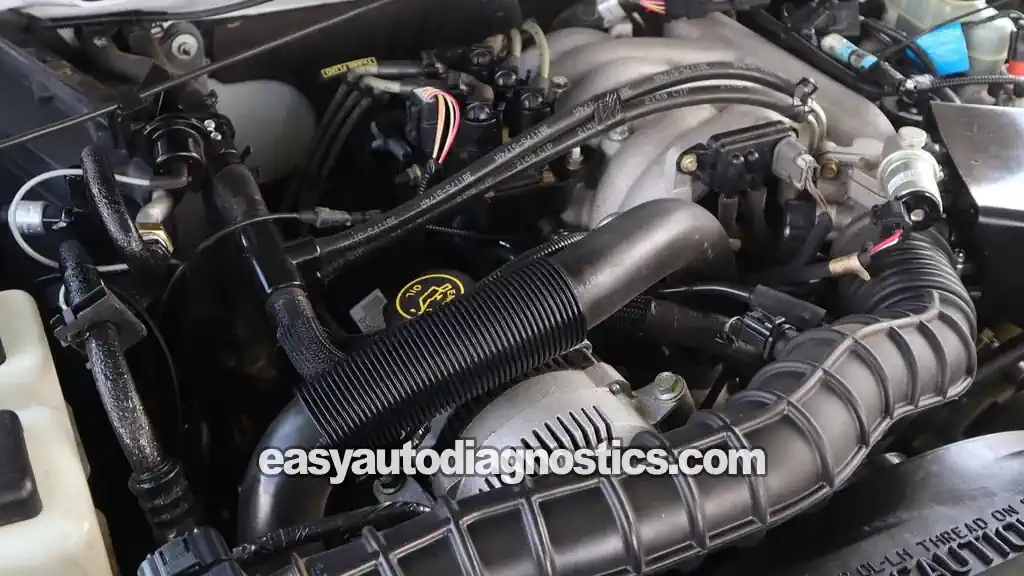 How To Test The Fuel Pump (1998-2001 3.0L V6 Ford Ranger)