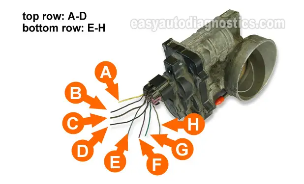 Resistance Specifications Of The TAC Electronic Throttle Body Resistance Specifications Of The TAC Electronic Throttle Body.