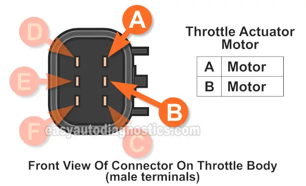 Electronic Throttle Body Basics (2007-2009 3.5L Chevy Malibu and Pontiac G6)